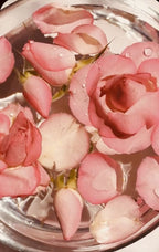 Crème de Jour Bio - Rose Argan