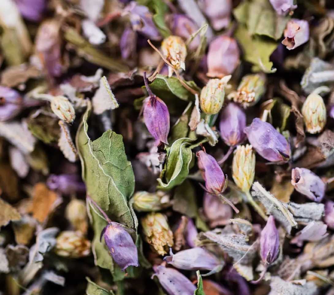 Tisane - Feminine Bio